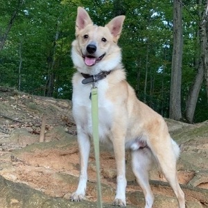 Fundraising Page: Lorraine Ramunno